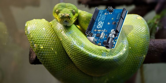 embedded-python