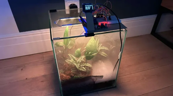terrarium