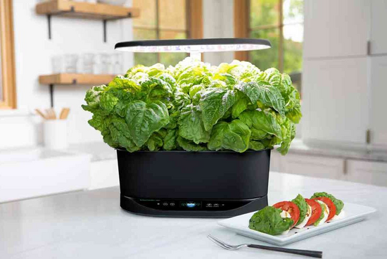 aerogarden